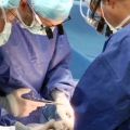 Об этом сообщила председатель правления АО «Национальный научный центр материнства и детства». Родственная трансплантация была проведена врачами Национального научного центра материнства и детства, совместно с заведующим отделом трансплантации костного мозга для подростков...